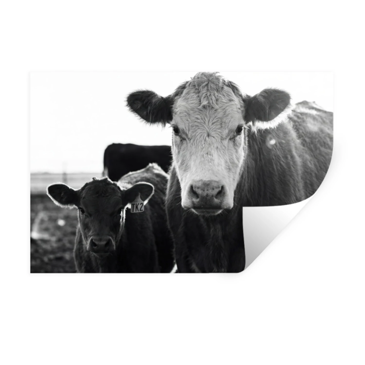 Vache Qui Rit Train Echelle 0 Lot De 36 Figurines Animaux Ferme échelle