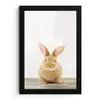 Konijn - Baby konijn - Dieren - Kind - Meisjes - Jongens fotolijst zwart zonder passe partout klein -3d