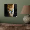 Luipaard - Dieren - Portret - Wilde dieren - Zwart plexiglas 5mm klein -sfeer3