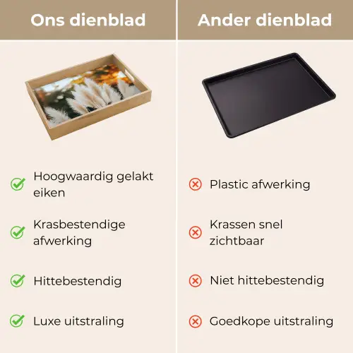 Pampasgras - Pluimen - Sierlijk Dienblad Rechthoek middel -USP_VergelijkingNL
