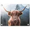 Schotse hooglander - Koe - Dieren - Berg - Natuur tuinposter los doek klein -3d