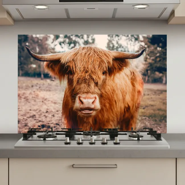 Koe- Schotse hooglander - Hoorns - Bruin - Landschap keuken achterwand spatscherm klein -3d_website