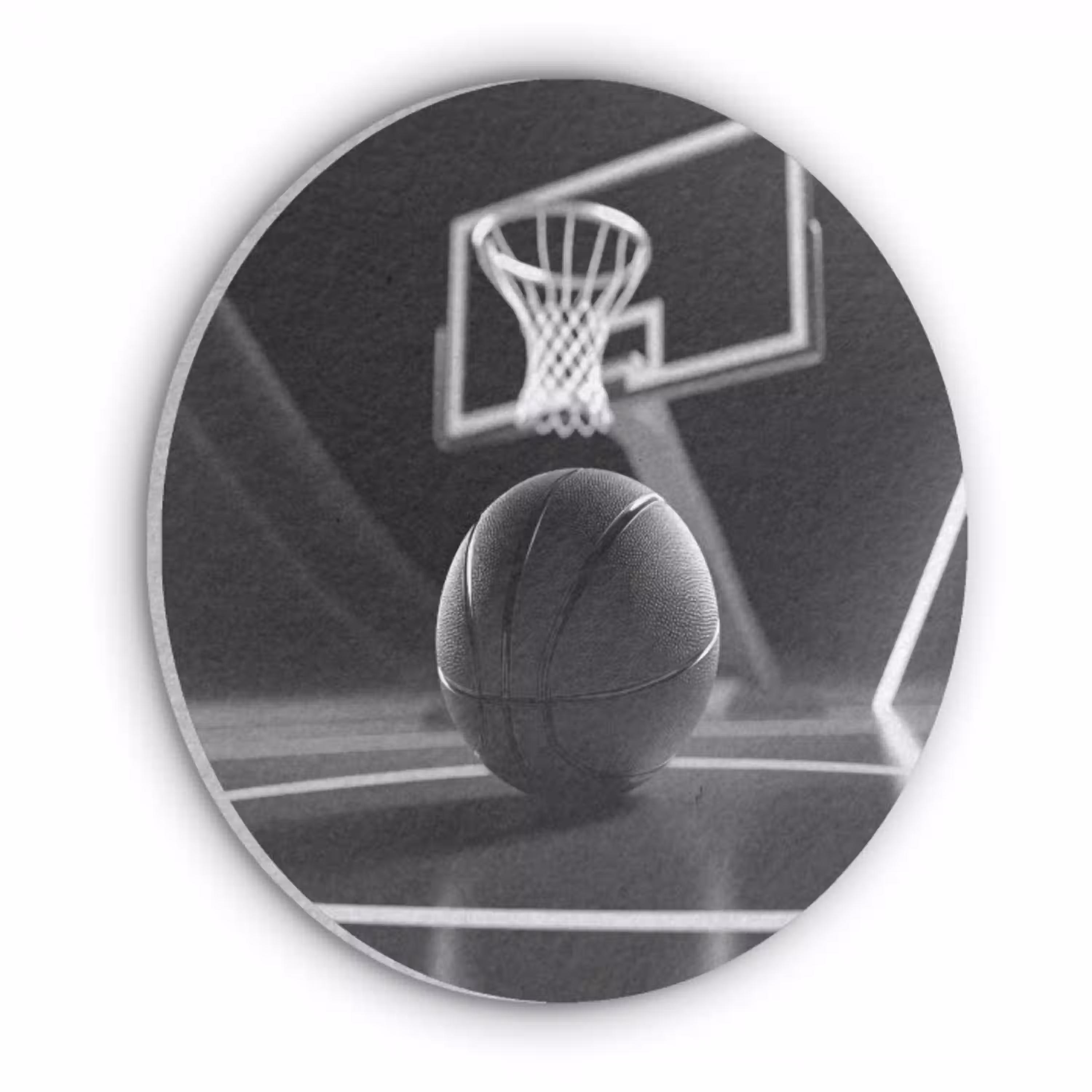Basketbal - Basketbalveld - Lichtlijnen Akoestische PET Vilt - Rond klein -3d