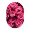 Rozen - Pink - Bloem Wandcirkel Ovaal Glas middel -3d