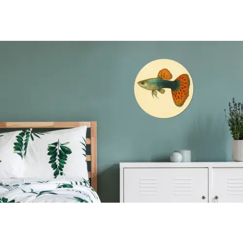 Vis - illustratie - Stippen - Oranje Wandcirkel aluminium klein -slaapkamer