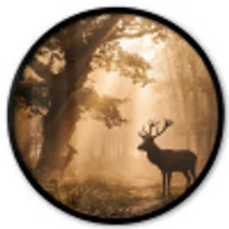 Hert - Bos - Mistig - Natuur - Goud Fotolijst rond zonder passe partout klein -3d