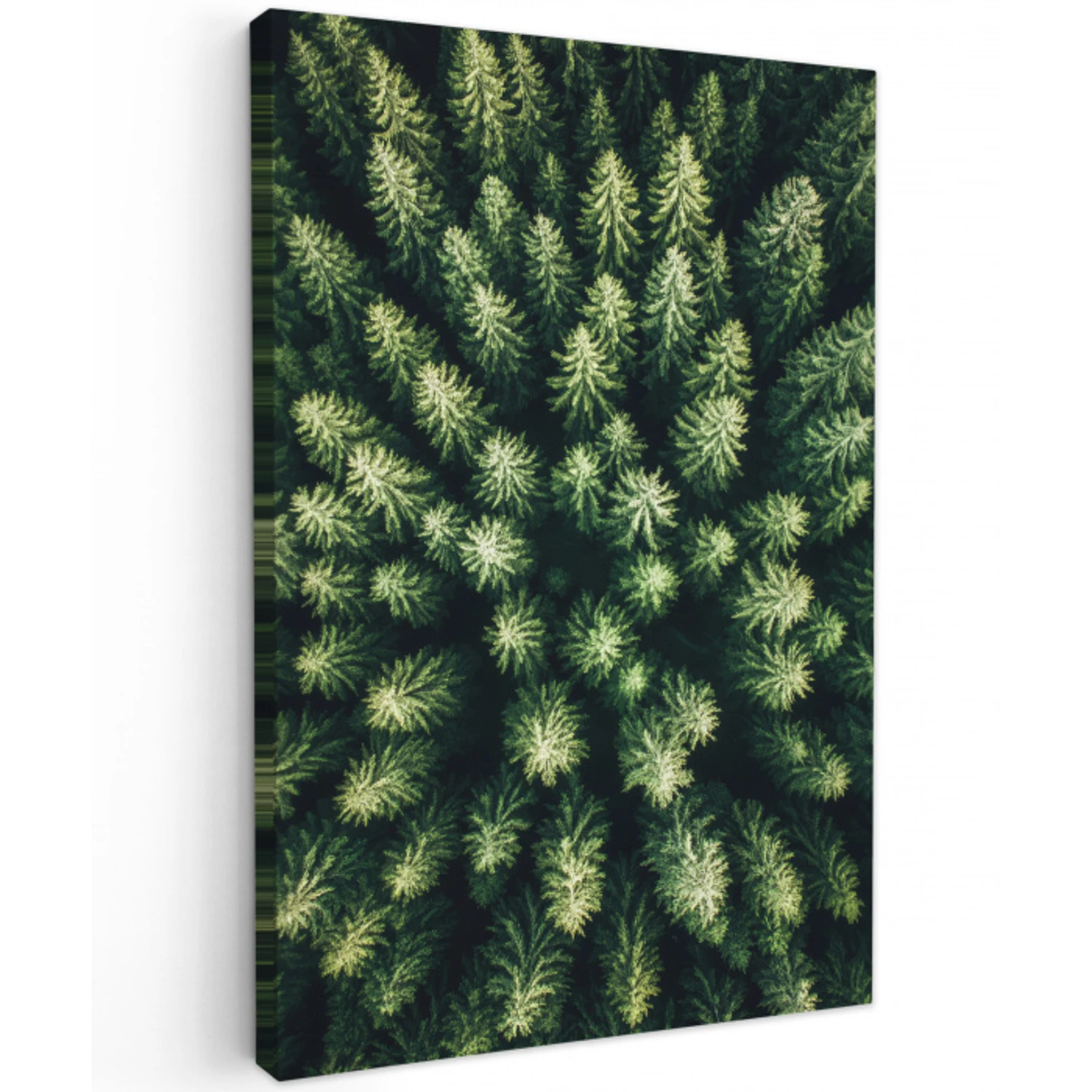 Bomen - Naaldwoud - Structuur Tuinposter op houten frame 2 cm dik klein -3d