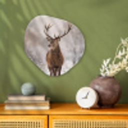 Edelhert - Bos - Sneeuw - Winter - Majestueus Wandcirkel Organisch Forex 3mm klein -sfeer2