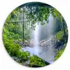 Jungle - Regenwoud - Water - Waterval - Planten Wandcirkel kunststof plaat 5mm dik klein -3d