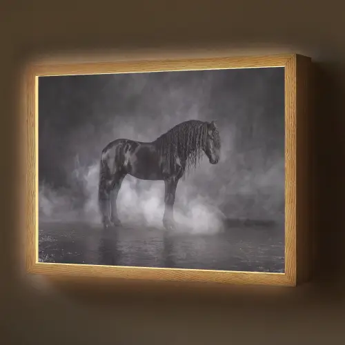 Paard - Magisch - Zwart Light Box met batterij (Wandlamp) middel -z3d_website