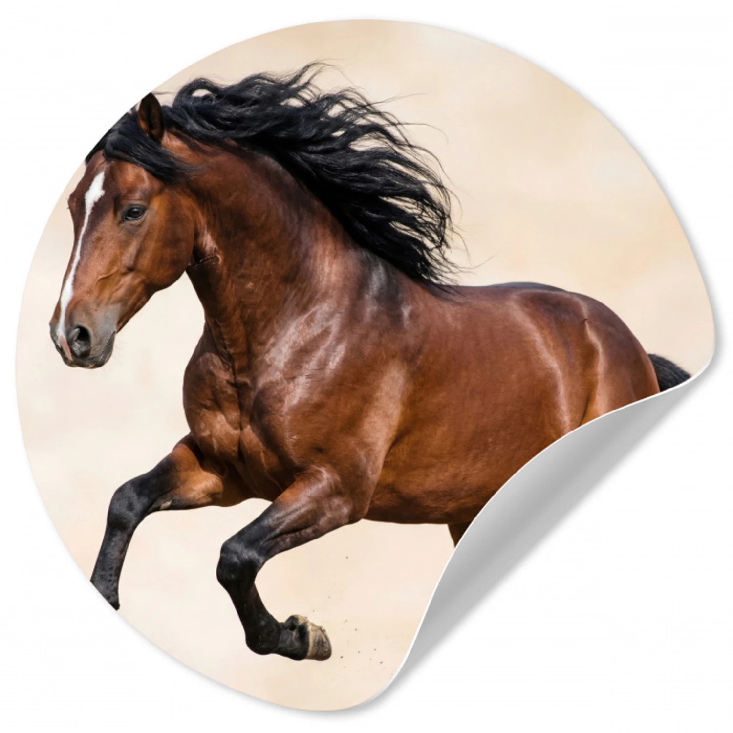 Paard - Galop - Energie Wandcirkel behangsticker klein -3d