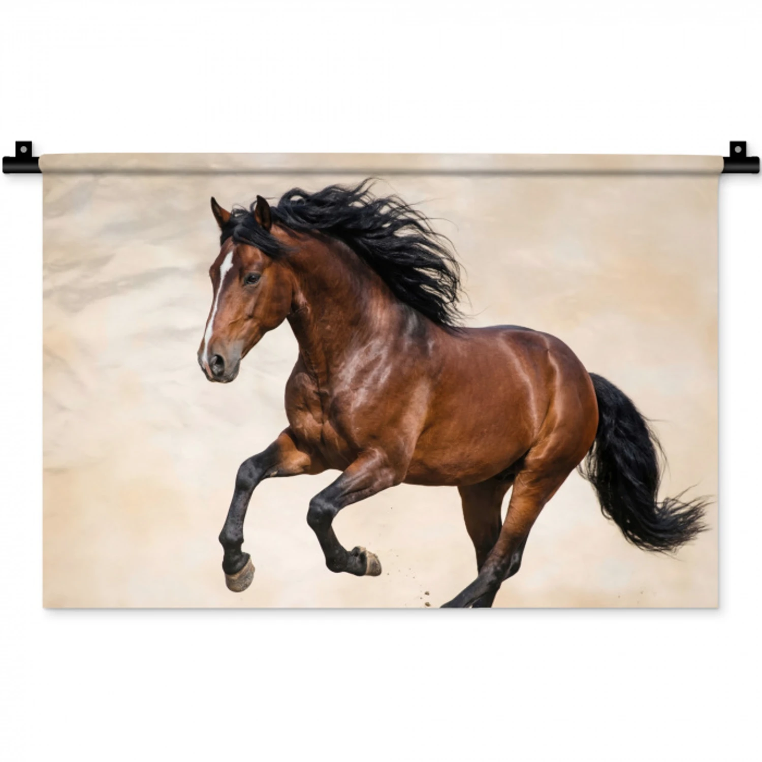Paard - Galop - Energie Wandkleed katoen klein -zz3d