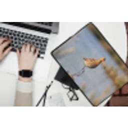 Vogel - Steltloper - Water - Natuur laptophoes neopreen klein -bureau