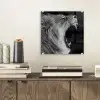 Dieren - Leeuw - Zwart - Wit - Portret plexiglas 5mm klein -sfeer1