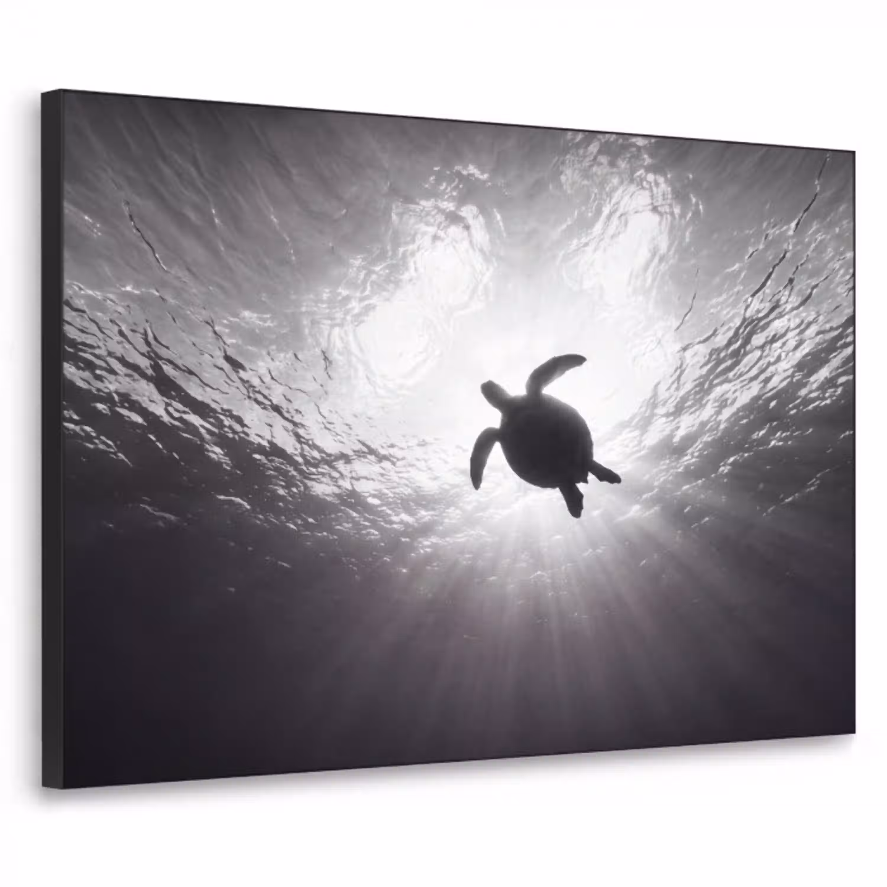 Schildpad - Onderwater - Lichtstralen - Oceaan - Zwart-wit Textielframe zwart klein -3d