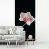 Orchidee - Bloemen - Zwart - Roze - Knoppen fotobehang vinyl groot -woonkamer