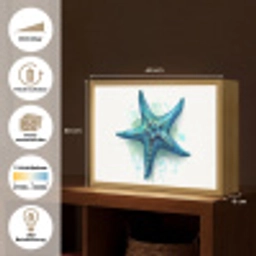 Zeester - Blauw - Spetters Light Box met batterij (Wandlamp) middel -USP_websiteoverzichtDE