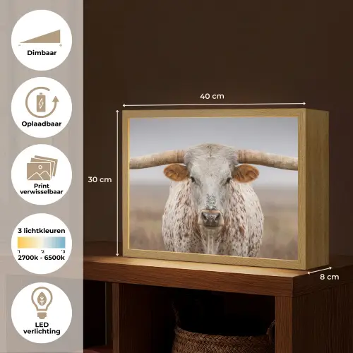 Longhorn - Grasveld - Dier Light Box met batterij (Wandlamp) middel -USP_websiteoverzichtNL