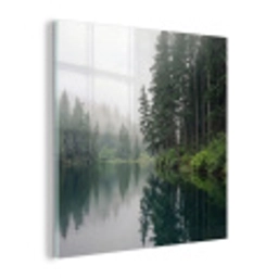 Bergen - Meer - Bos plexiglas 5mm klein -z3d