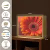 Oranje - Gerbera - Intens Light Box met batterij (Wandlamp) middel -USP_websiteoverzichtNL