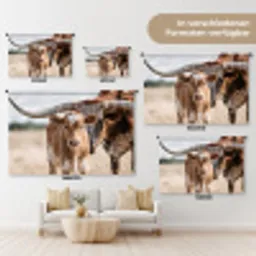 Texas Longhorn - Kalf - Weide - Dieren Wandkleed katoen klein -tsfeer8_DE