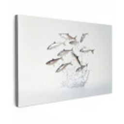 Vissen - Water - Wit Tuinposter op houten frame 2 cm dik klein -3d