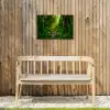Jungle - Water - Bladeren - Zon - Natuur Tuinposter op houten frame 2 cm dik klein -sfeer4