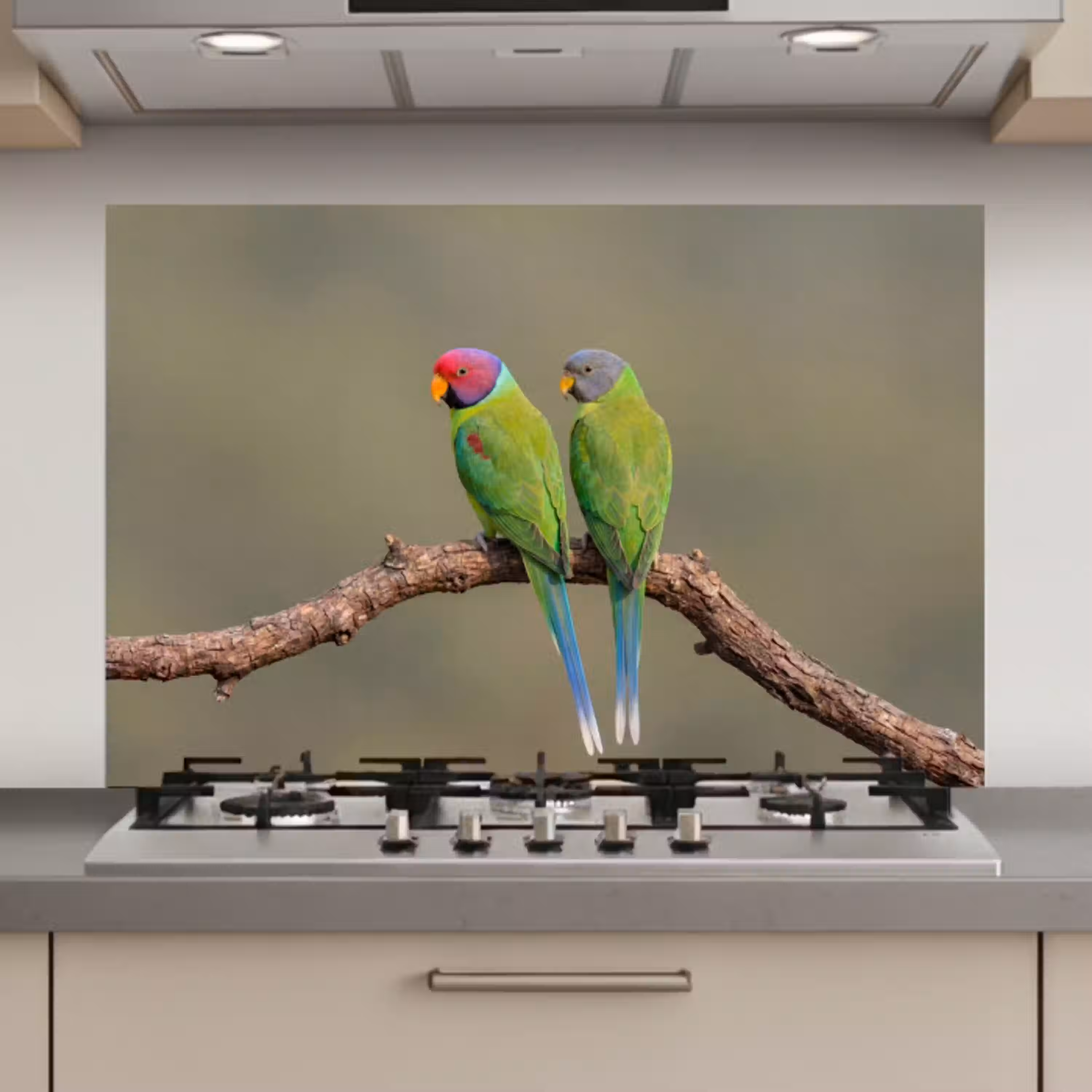 Papagaai - Tak - Natuur - Kleurrijk keuken achterwand spatscherm klein -3d_website
