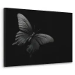 Vlinder - Zwart - Insect - Dieren Textielframe - compleet frame klein -3d
