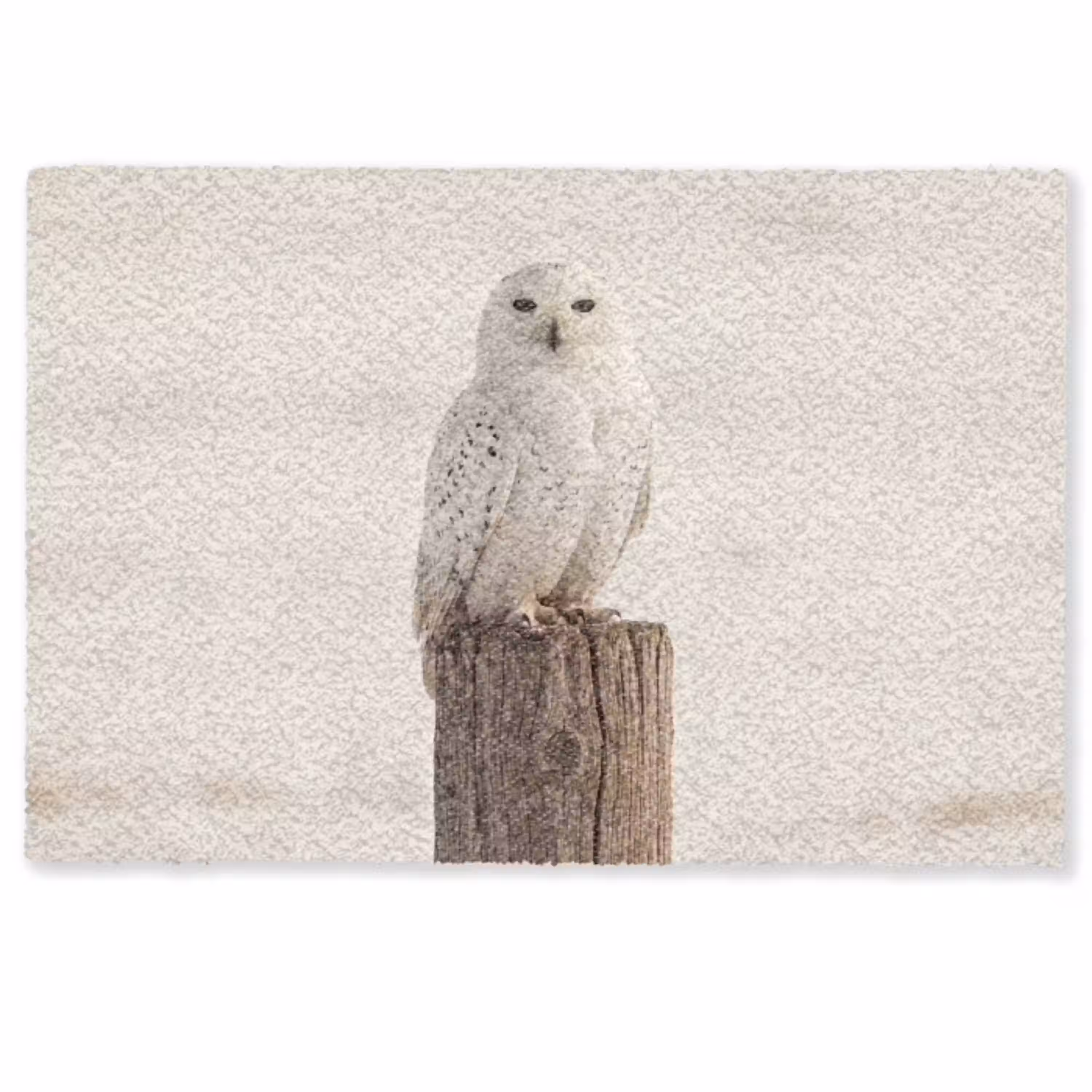 Sneeuwuil - Paal - Winter - Portret - Majestueus Deurmat klein -zkaufland3d