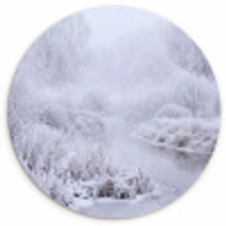 Rivier - Sneeuw - Bos - Winter - Schilderachtig Wandcirkel kunststof plaat 5mm dik klein -3d
