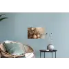 Kerst - Kerstballen - Beige - Goud Muursticker klein -plant