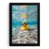 Duikbril - Eend - Water fotolijst zwart zonder passe partout klein -3d