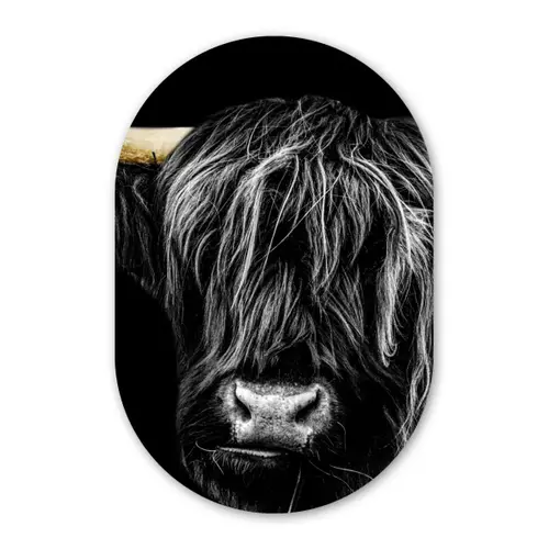 Schotse hooglander - Goud - Vacht - Dieren - Koe Wandcirkel Ovaal Forex klein -3d