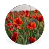 Bloemen - Klaprozen - Natuur - Rood Wandcirkel aluminium klein -3d