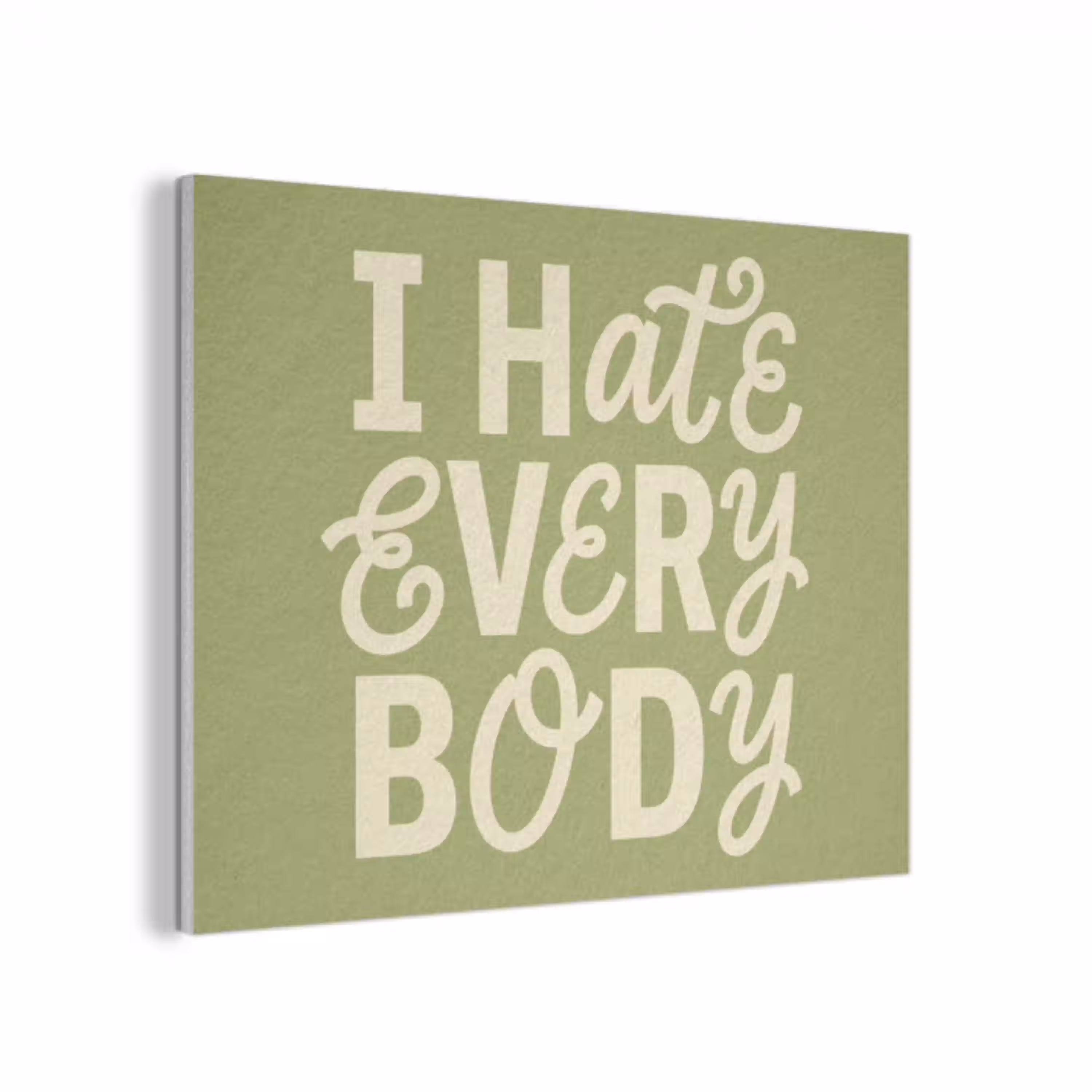 I hate everybody - Groen - Retro PET vilt klein -3d