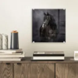 Portret - Paard - Zwart plexiglas 5mm klein -sfeer1