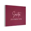 Santa - Wine - Rood - Kerst - Kerstman PET vilt klein -3d
