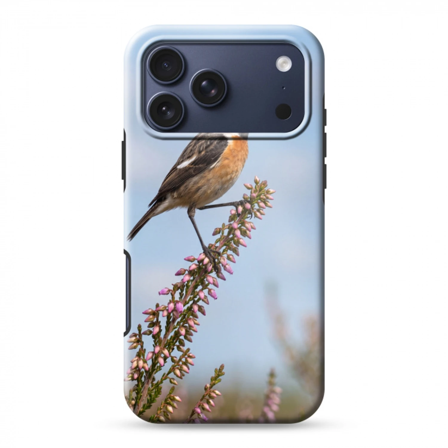 Roodborsttapuit - Heide - Paars - Natuur - Sfeervol Toughcase MagSafe Apple iPhone 17 Pro Max klein -3d