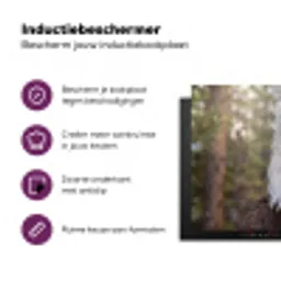 Amerikaans - Zeearend - Portret - Geel Inductie beschermer vinyl 3mm klein -zzzzzzz-cc-usp