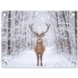 Hert - Winter - Bos - Natuur - Wit tuinposter los doek klein -3d