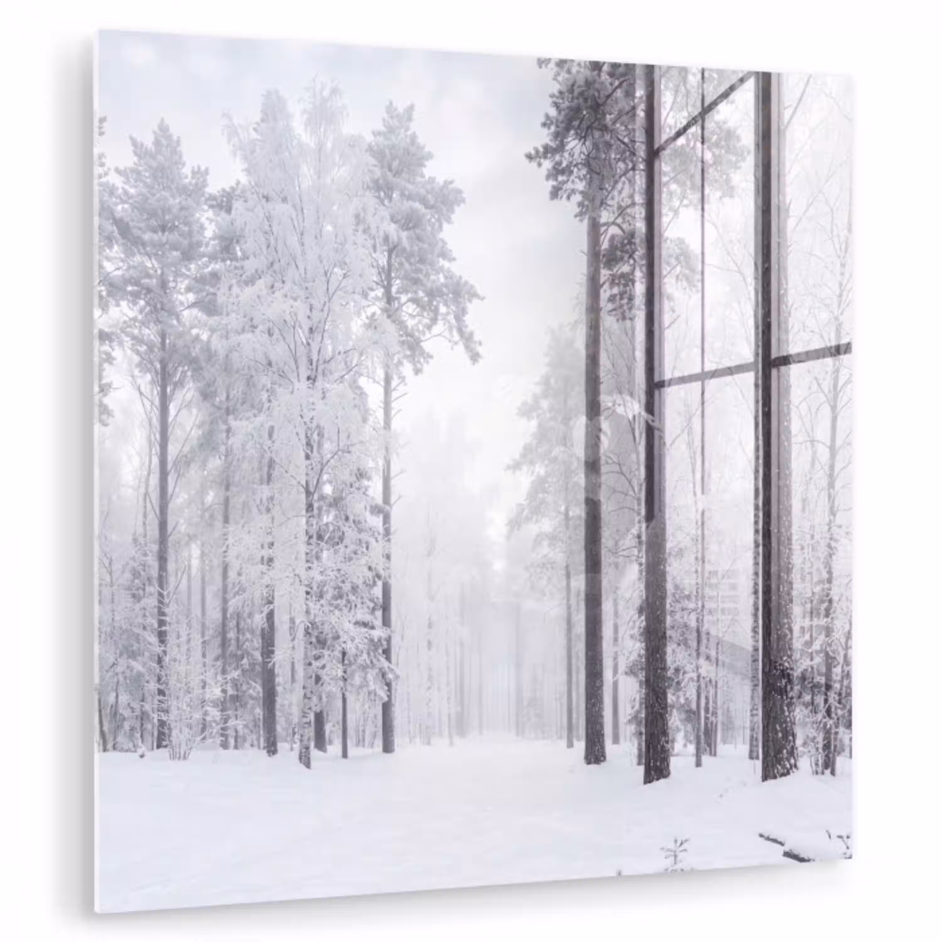 Bos - Sneeuw - Pad - Winter - Stilte plexiglas 5mm klein -zzzproduct_nieuw