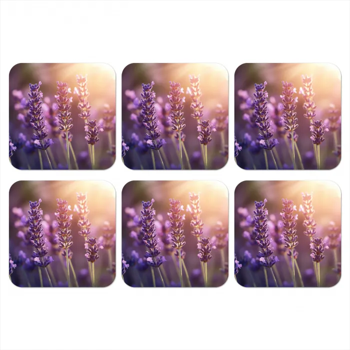 Lavendelbloemen - Paars - Zonlicht onderzetter kurk middel -3d