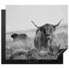 Schotse Hooglander in Monochroom Inductie beschermer vinyl 3mm middel -3d