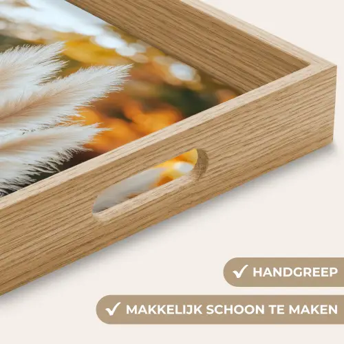 Pampasgras - Pluimen - Sierlijk Dienblad Rechthoek middel -USP_HandgreepNL