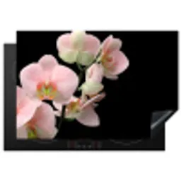 Zachte Roze Orchideeënfluistering Inductie beschermer vinyl 3mm klein -3d