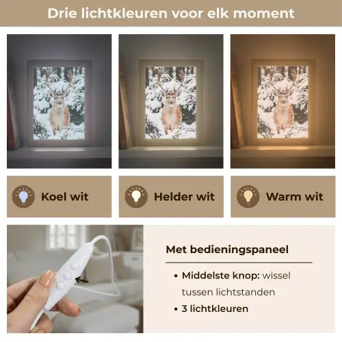 Hert - Sneeuw - Winter - Bos - Dieren Light Box met kabel (Tafellamp) klein -USP_lichtkleurNL