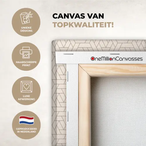 Patroon - Beige - Lijnen - Bruin canvas 2cm xxl 828 -sfeer2