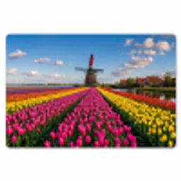 Tulpen - Holland - Molen - Kleurrijk Placemat vinyl groot -zzsfeer1_Kitchenyeah-website