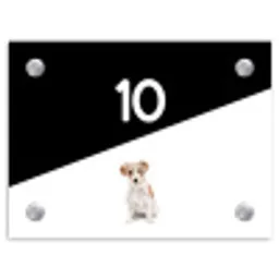 Zwart wit - Huisdier - Jack Russel Naambord Rechthoek middel -3d